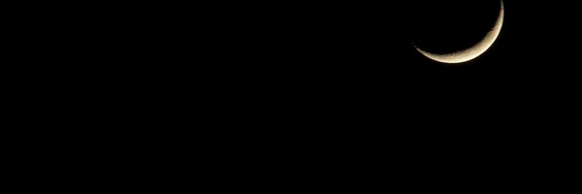 MLCottle's profile banner image