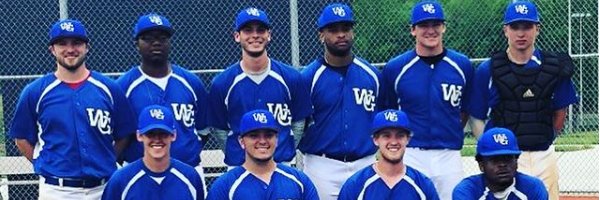 UWG Club Baseball banner