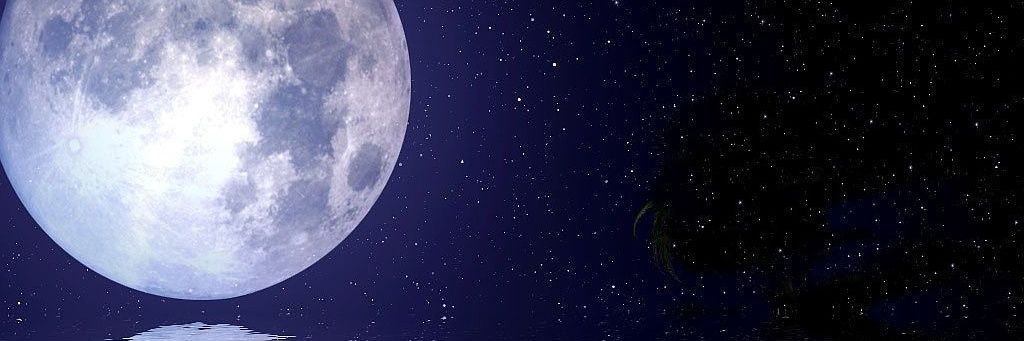 jillian banner