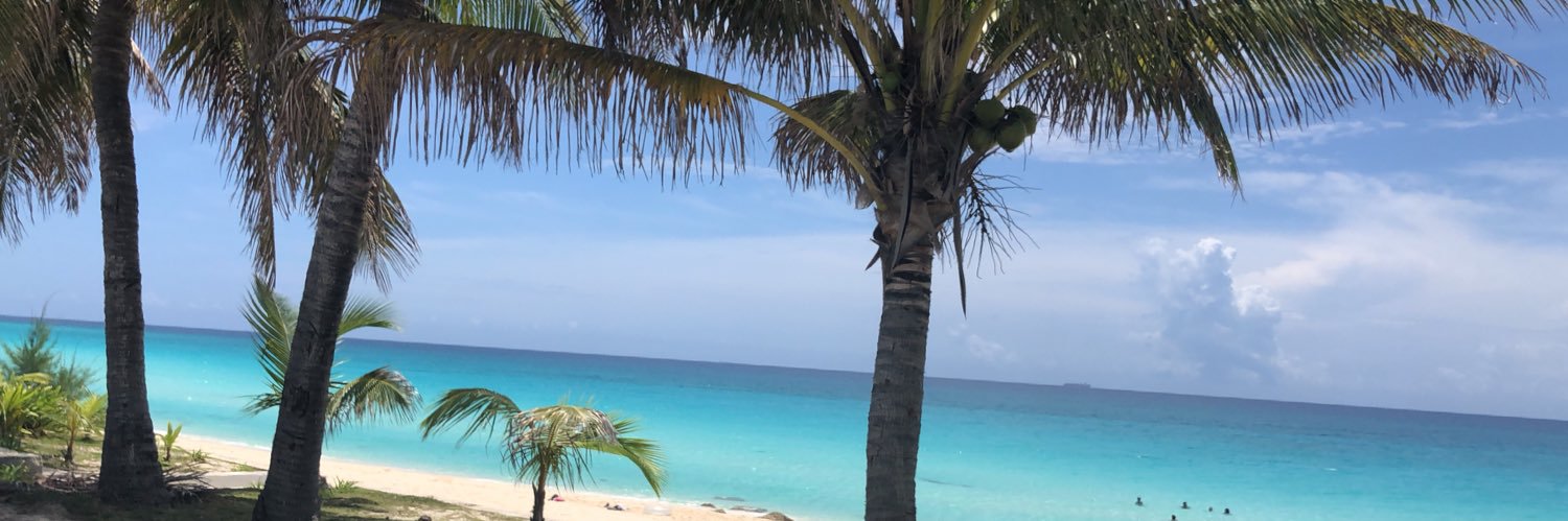 marissatorres's profile banner image