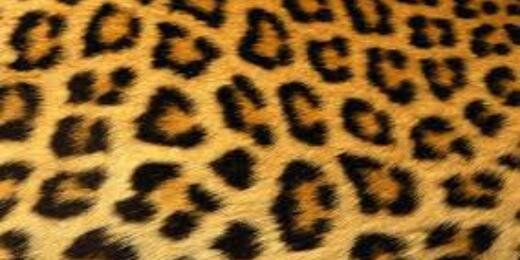 anaesgon's profile banner image