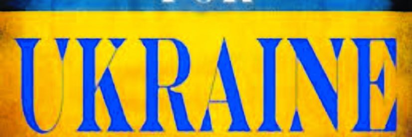 Searching4Sanity banner