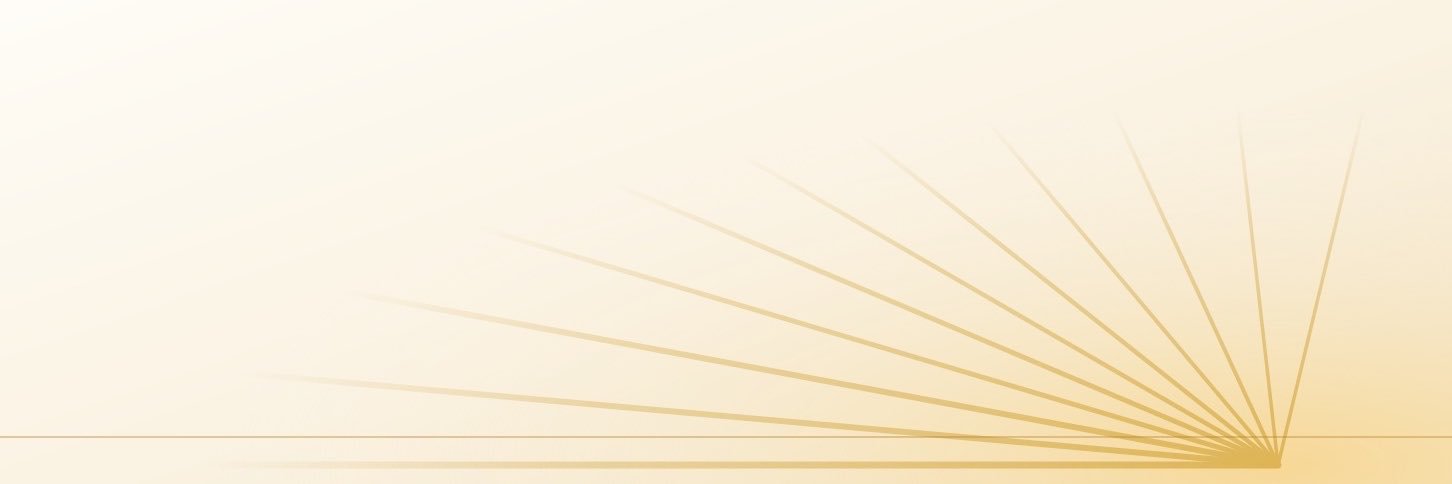 laisnet's profile banner image