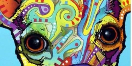 soivf7's profile banner image