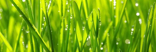 Asitha_Ap's profile banner image