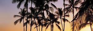 16_deEne's profile banner image