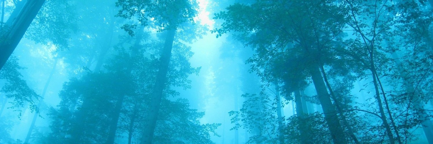 RamonMartinez3's profile banner image
