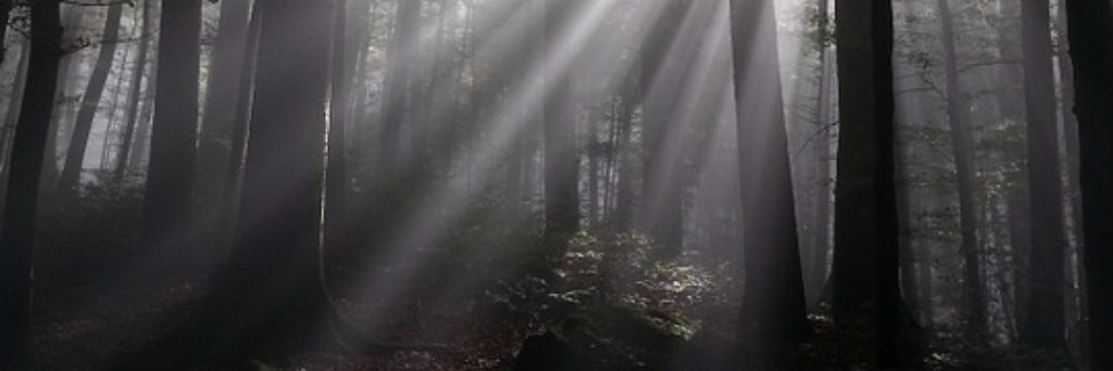 benicebooks's profile banner image
