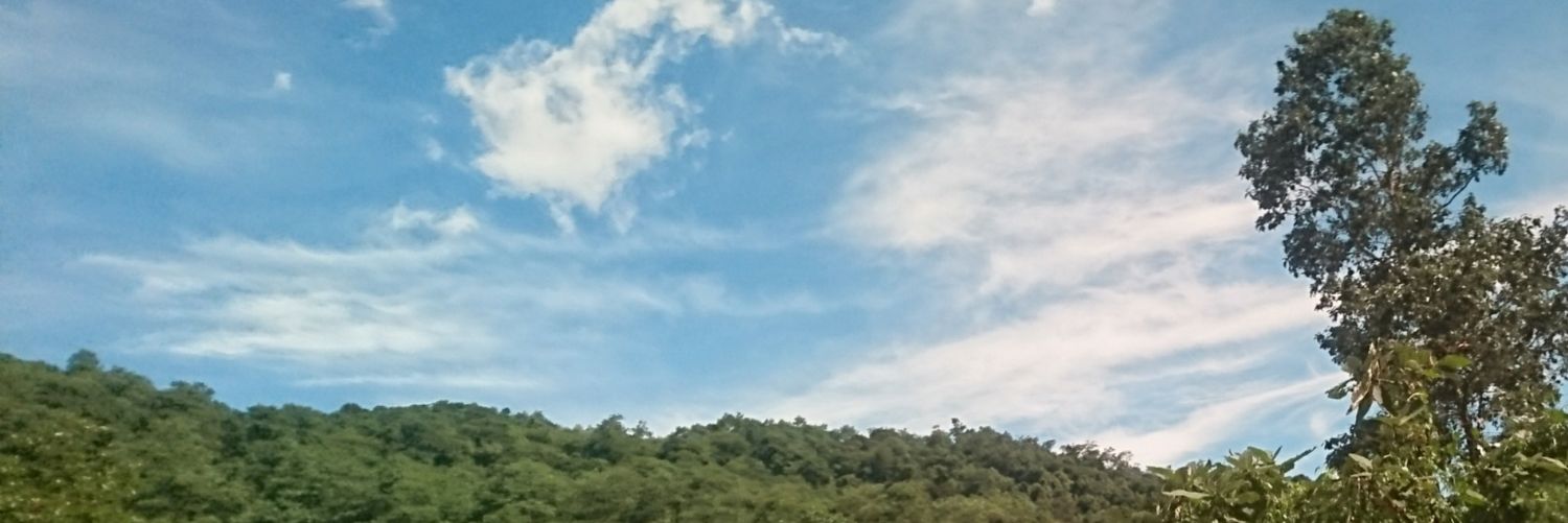 YasminElisa's profile banner image