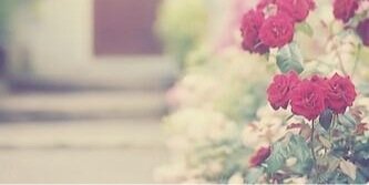 aisha_r11's profile banner image