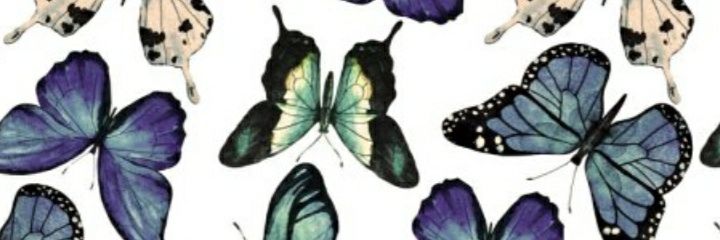 alexandra0cc's profile banner image