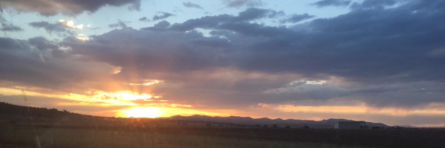 lesliemani's profile banner image