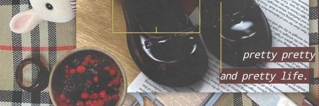 skyie𓂃݊ ៶ׄ๑ banner