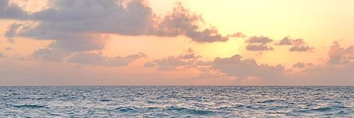 yanipedernera's profile banner image