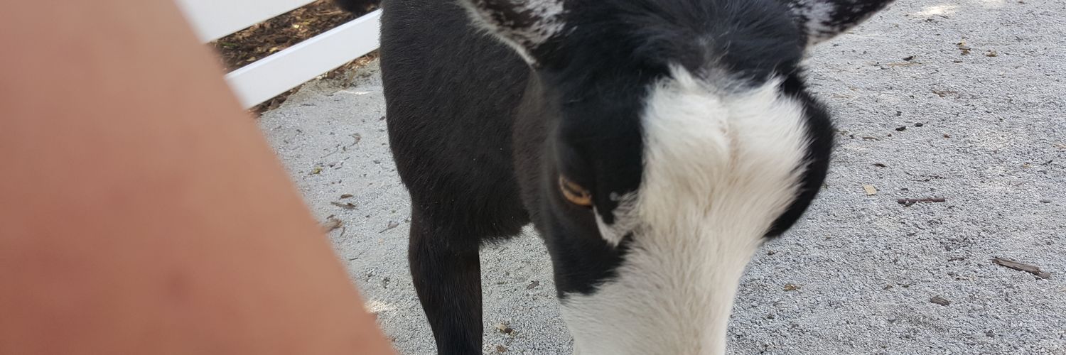 NomadD76's profile banner image