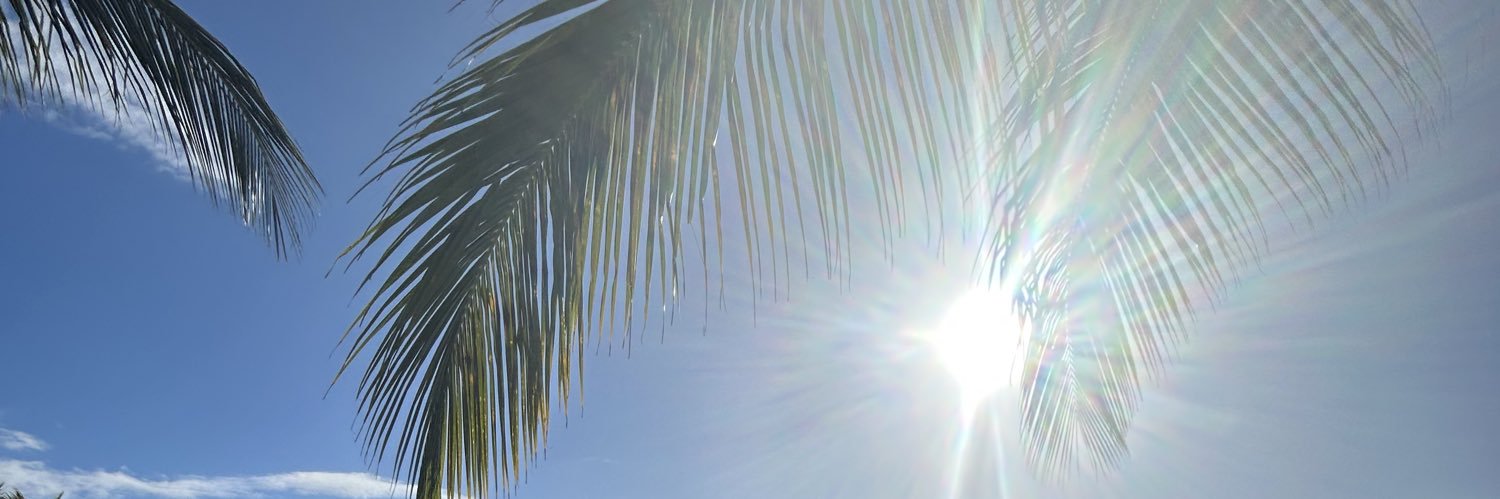 algarringer's profile banner image