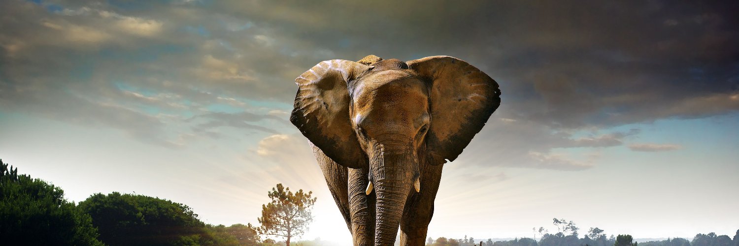 Monkeshdevekar's profile banner image