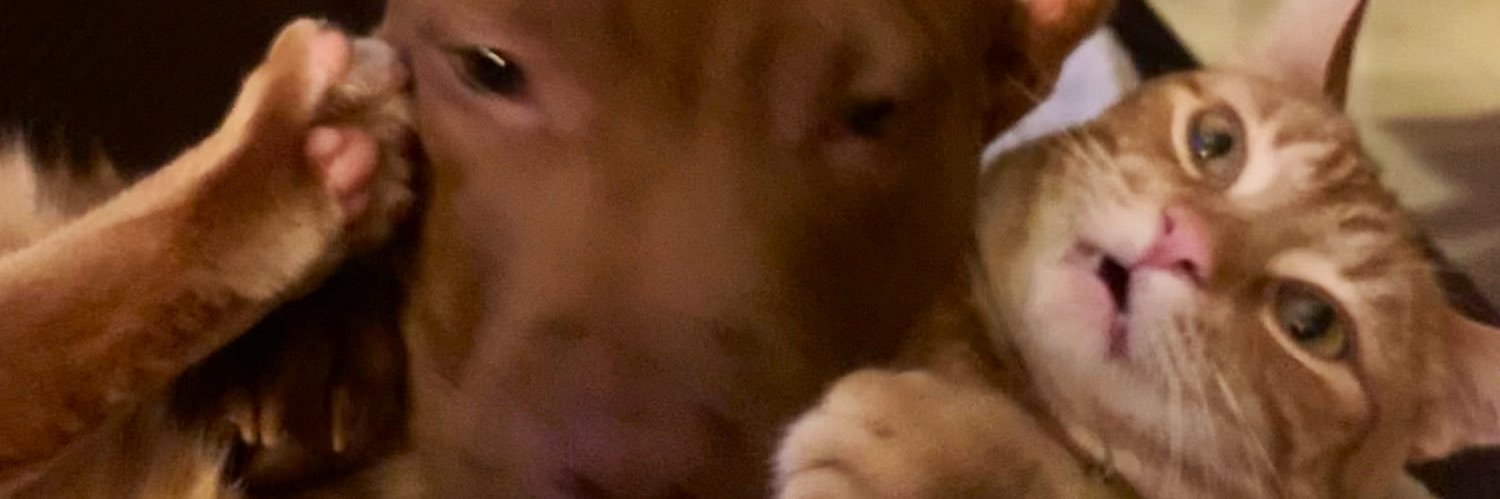 Gabbs9090's profile banner image