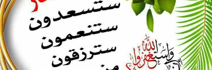 n3131959's profile banner image
