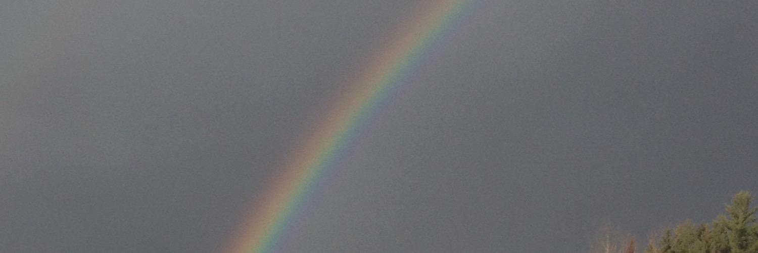 thebigbear2227's profile banner image