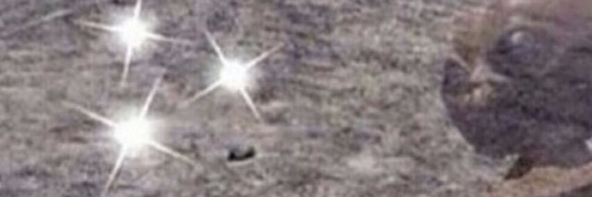 crubenack21's profile banner image