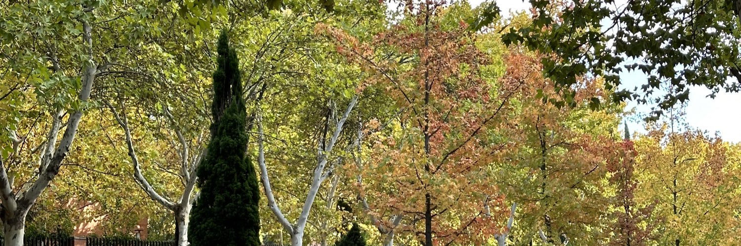 dumbmarie's profile banner image