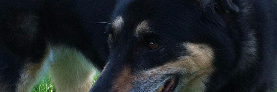 JBavz's profile banner image