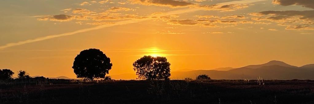 Palomajdk93's profile banner image