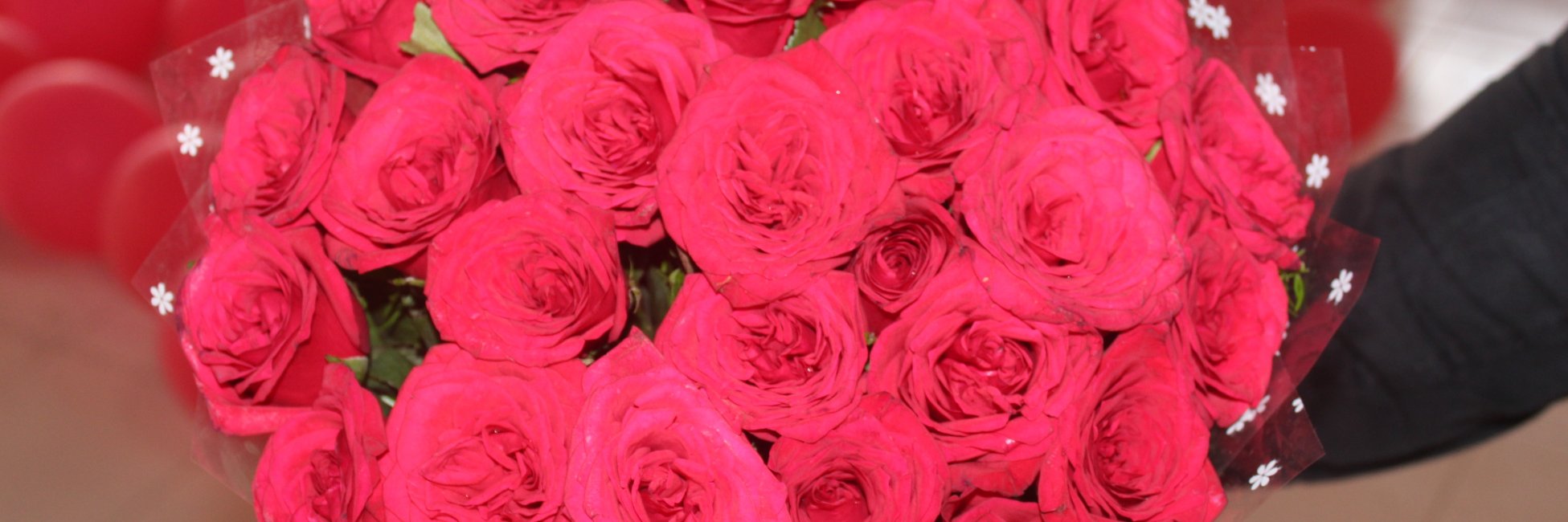 arun2529's profile banner image