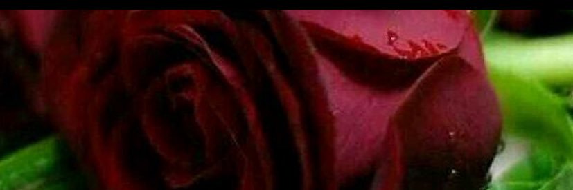 jonah1671's profile banner image