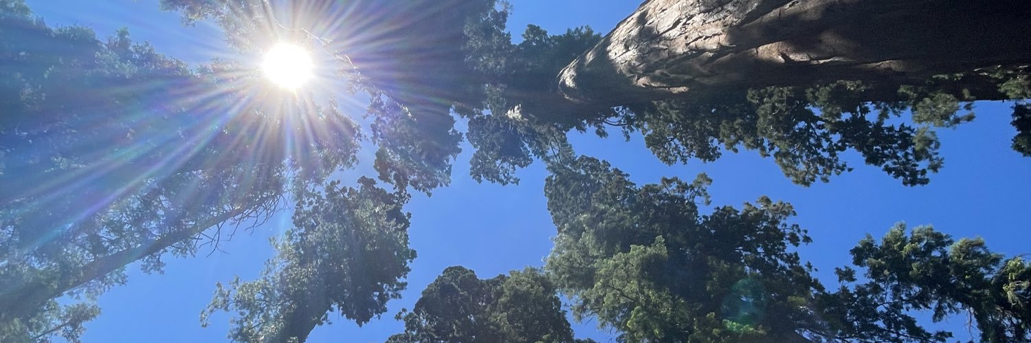 hodsonj88's profile banner image