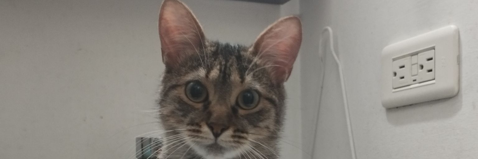 Andres_S27's profile banner image
