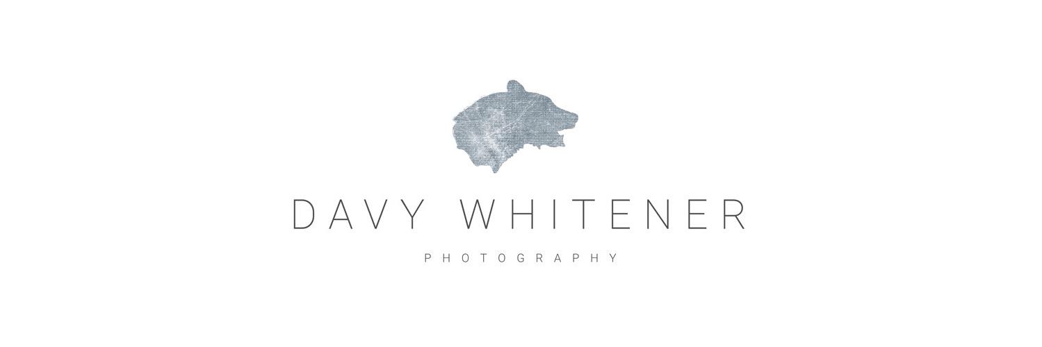 Davy Whitener banner