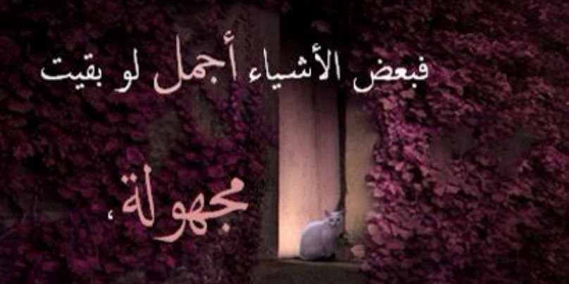 fafa4686's profile banner image