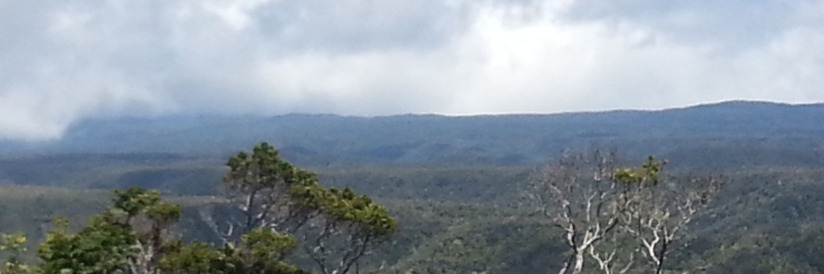 JoshAkin77's profile banner image