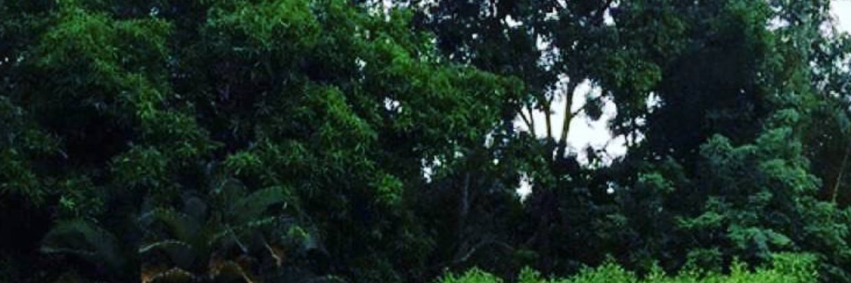 Been558's profile banner image