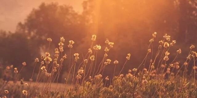 KZabelicky's profile banner image