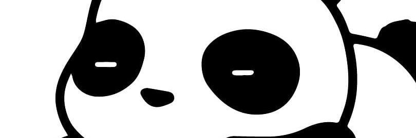 AChaoticPanda's profile banner image