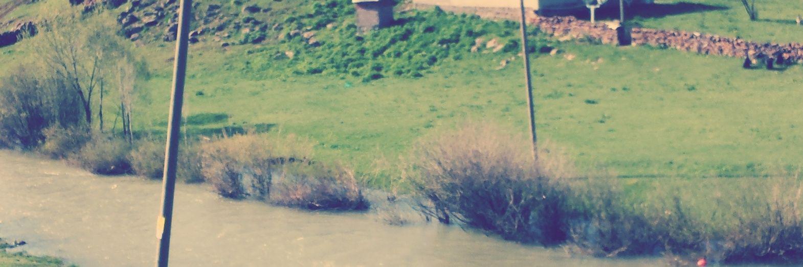 GulistanSaoglu's profile banner image