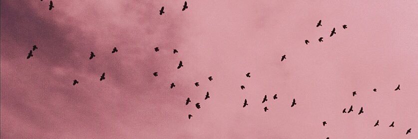 mo24i_'s profile banner image