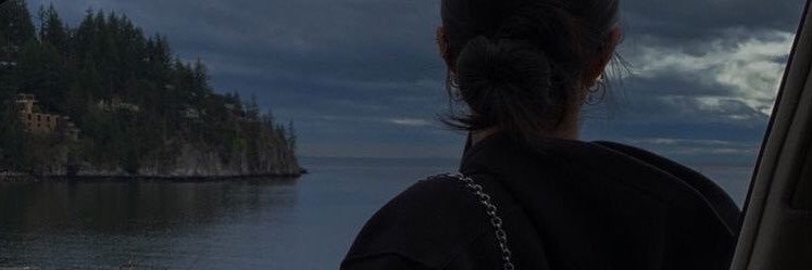 dadabobos's profile banner image