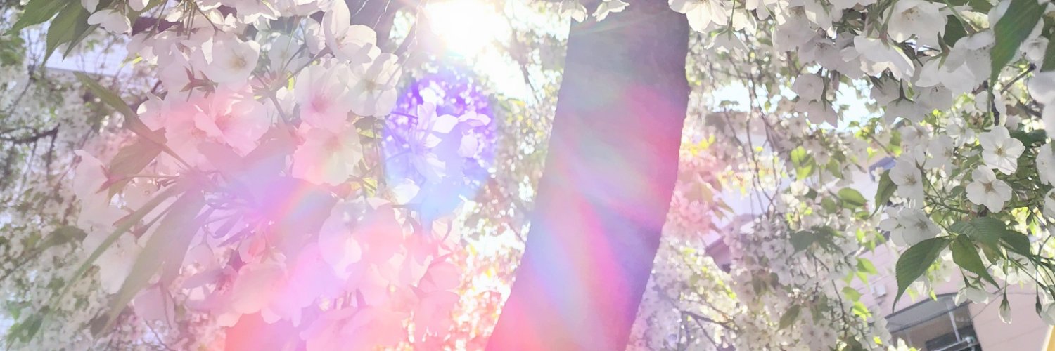 se-co banner