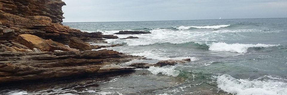 CoulletFlo's profile banner image