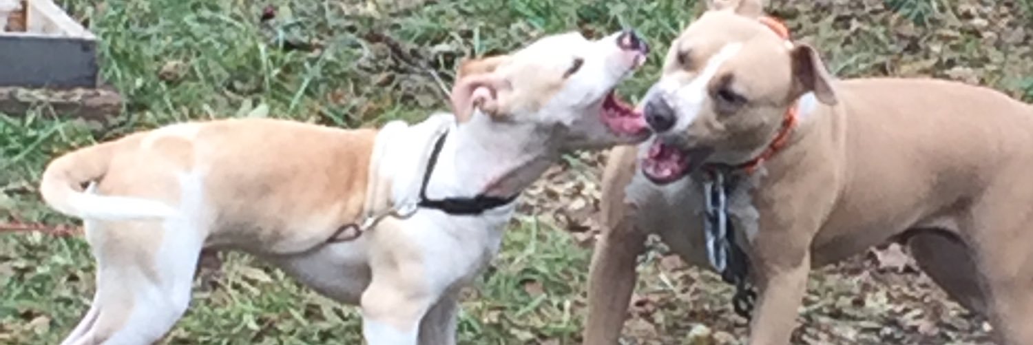 7milematt's profile banner image