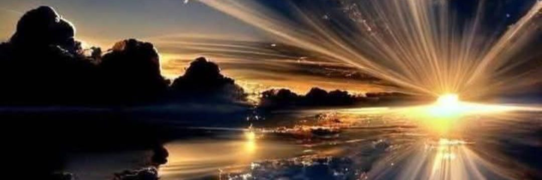 31Claug's profile banner image