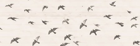EmiliaCPL's profile banner image
