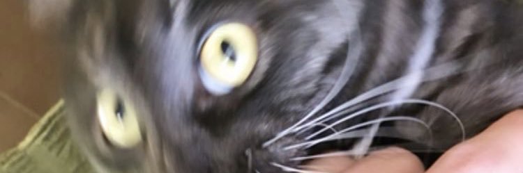 SASSY_FASS's profile banner image