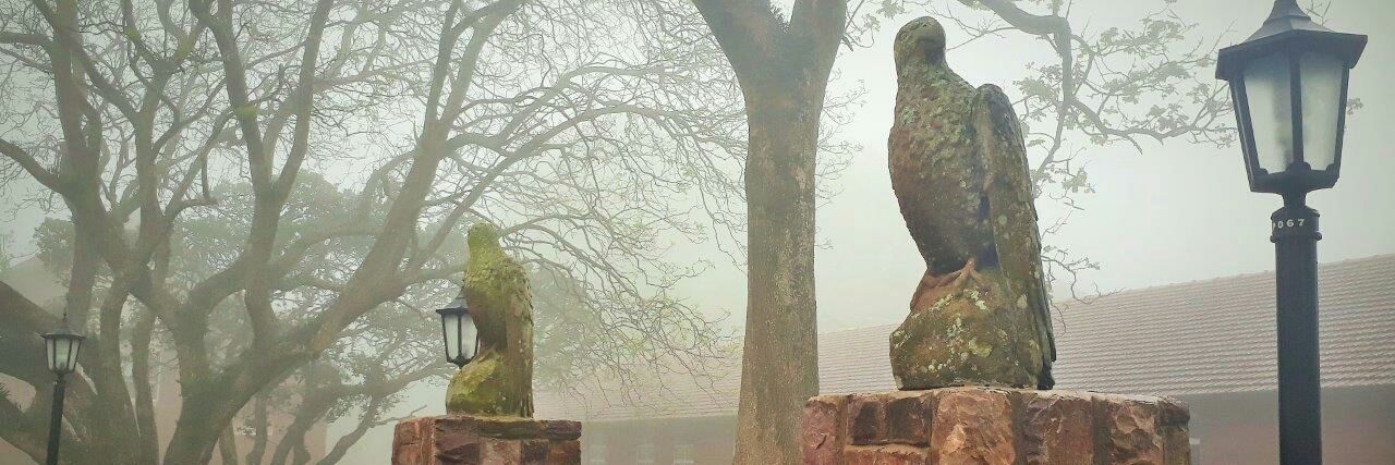 Kearsney History banner
