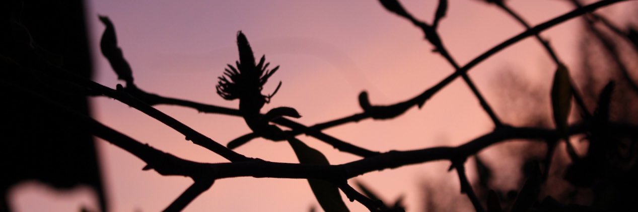 _valegonzalez's profile banner image