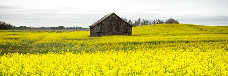 DriveKentucky's profile banner image